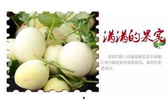 大美吃瓜视频,揭秘娱乐圈幕后故事，带你领略明星真实生活