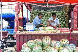 凌月吃瓜,揭秘娱乐圈背后的那些事儿