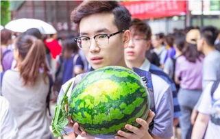 学校吃瓜现场,揭秘校园里的那些“秘密”瞬间