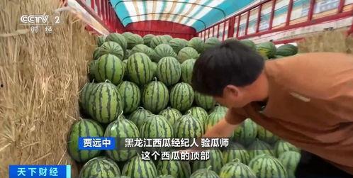 新大陆吃瓜网站,揭秘娱乐圈幕后故事，带你领略娱乐风云变幻