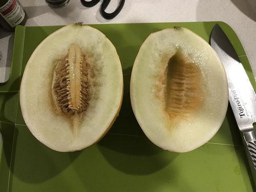 好日子吃瓜,揭秘娱乐圈的甜蜜与苦涩