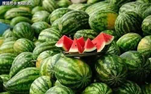 8555444吃瓜群,一场网络狂欢的幕后故事