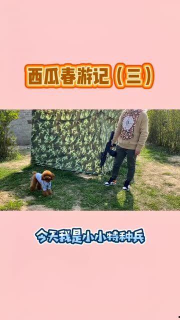 带你吃瓜之鸡,带你领略“带你吃瓜之鸡”的独特魅力