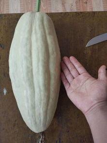 干红瓜叶怎么吃,干红瓜叶的多样食法探索