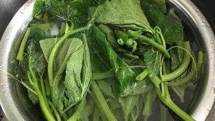 干红瓜叶怎么吃,干红瓜叶的多样食法探索