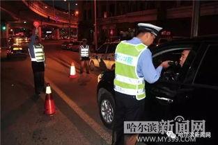 渔民吃瓜群众怎么处理,共话海洋生态保护之道