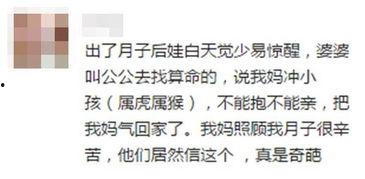 吃瓜看人吐槽,吃瓜群众视角下的社会百态吐槽