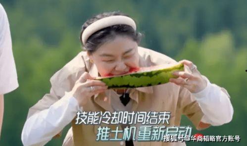 努力吃瓜的小于,揭秘瓜界新势力