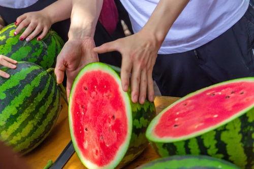 延边大学西部吃瓜,一场别开生面的“吃瓜”盛宴