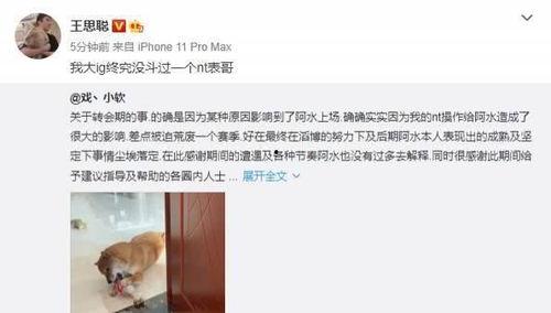 骚瓜怎麽吃,解锁美味新境界