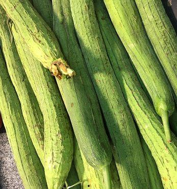 秋儿吃瓜,品味生活，共享欢乐时光