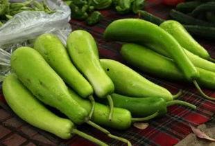 孕期吃葫芦瓜的功效,呵护母婴健康，营养满分