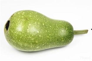 孕期吃葫芦瓜的功效,呵护母婴健康，营养满分