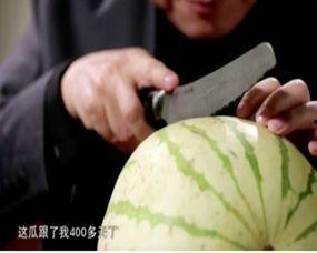 吃瓜切瓜的视频在线观看,跟随吃瓜切瓜视频，解锁夏日消暑新姿势
