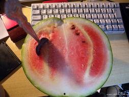 不倒哥吃瓜,揭秘娱乐圈那些鲜为人知的幕后故事