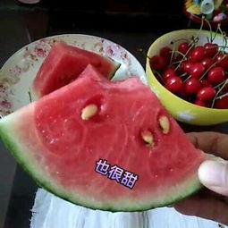 小吃货吃瓜,揭秘美食界的那些事儿