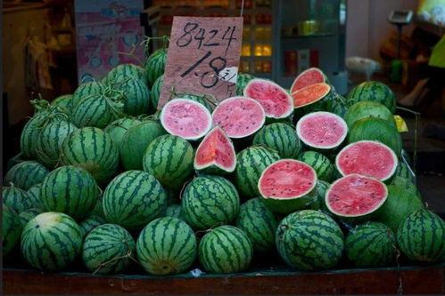 人类吃瓜史,人类吃瓜史的演变与传承