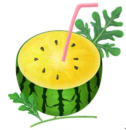 人类吃瓜史,人类吃瓜史的演变与传承