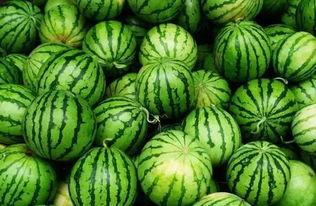 微信吃瓜群认准瓜闻天下,揭秘微信吃瓜群的热门话题与幕后真相