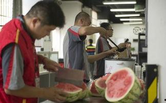 带你吃瓜快递小哥,揭秘带你吃瓜背后的故事