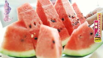 西瓜免费吃瓜视频,跟随视频一起体验西瓜免费吃瓜狂欢