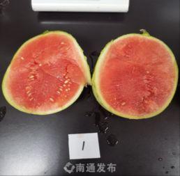 吃瓜 南通,吃瓜群众眼中的城市风采