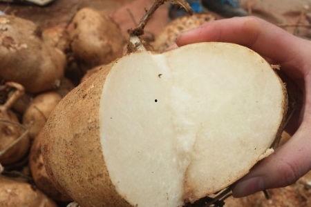 土瓜怎么吃才不性寒,告别性寒，健康养生新选择