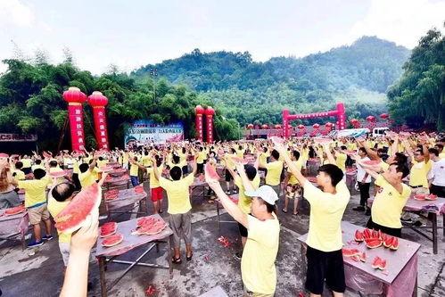 吃瓜大赛莒县,瓜香四溢，欢乐满园