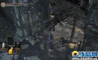 吃瓜之魂后续,揭秘娱乐圈背后的秘密与真相