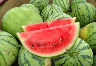 濮阳创意公园吃瓜,夏日吃瓜好去处，尽享清凉时光