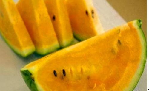 代打吃瓜,揭秘电竞圈幕后风云