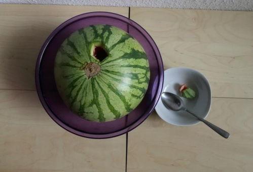 国外吃瓜引擎,揭秘国外吃瓜引擎背后的精彩故事