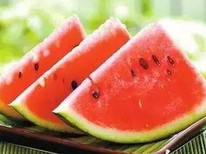 半山吃瓜懒爽爽,懒爽爽夏日时光