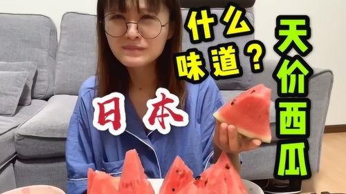 吃瓜奇葩见解视频