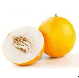 唐河高中吃瓜,揭秘校园里的“瓜田”风云