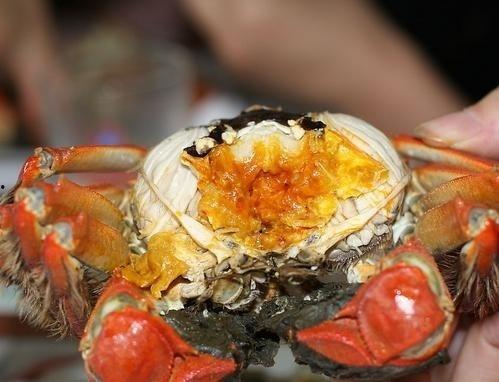 蛇瓜能跟螃蟹一起吃吗,蛇瓜与螃蟹同食的适宜性探讨