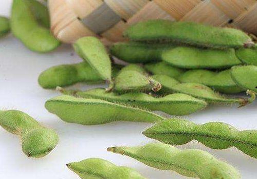 蛇瓜能跟螃蟹一起吃吗,蛇瓜与螃蟹同食的适宜性探讨