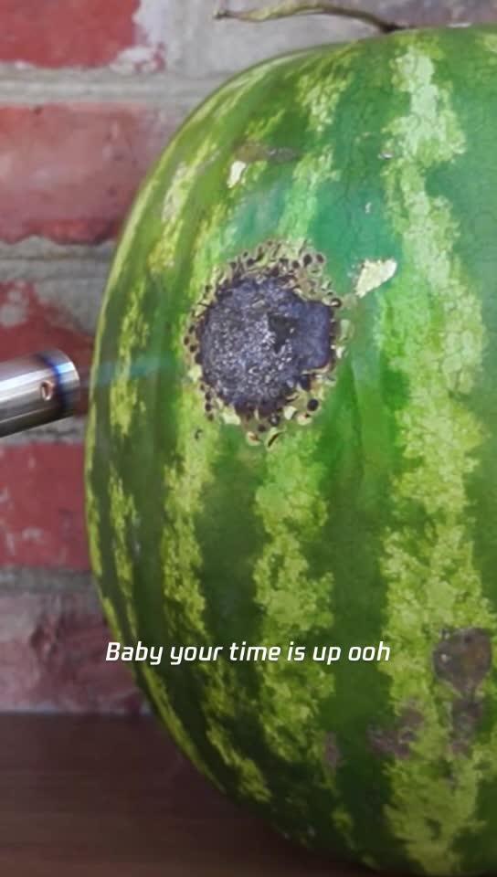 吃瓜吃最火最热,揭秘最火最热吃瓜盛宴