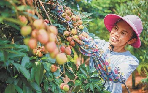 吃瓜 颂,揭秘网络时代的围观文化