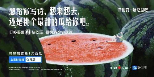 吃瓜喝汤文案,揭秘吃瓜喝汤的趣味生活