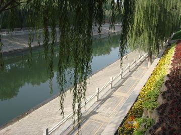 滨河公园吃瓜,尽享清凉时光