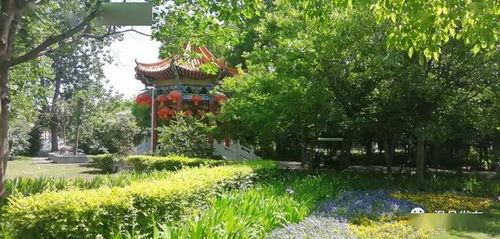 滨河公园吃瓜,尽享清凉时光