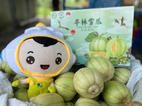 吃瓜吃出甜热热,揭秘“吃瓜”背后的甜蜜诱惑