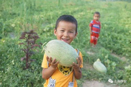 吃瓜吃出甜热热,揭秘“吃瓜”背后的甜蜜诱惑