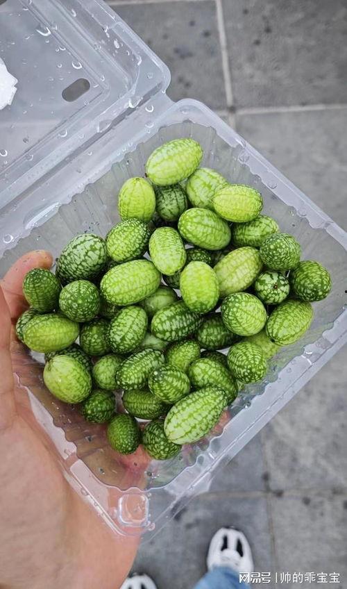 麻瓜可以怎么吃