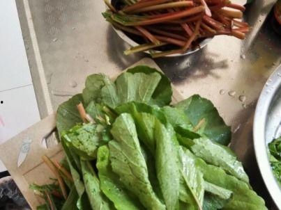 方瓜叶怎么吃,探索家常美味新选择