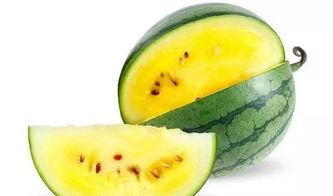 伦敦吃瓜地图,跟随吃瓜地图解锁城市味蕾之旅