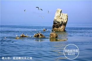 庄河吃瓜黑岛新闻,揭秘吃瓜群众的夏日新闻焦点