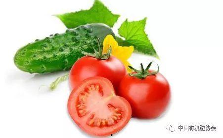 吃瓜文古代推荐番茄,穿越时空的瓜果传奇