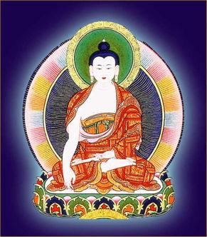 吃瓜功德佛阿尼亚,揭秘瓜界传奇与佛性智慧